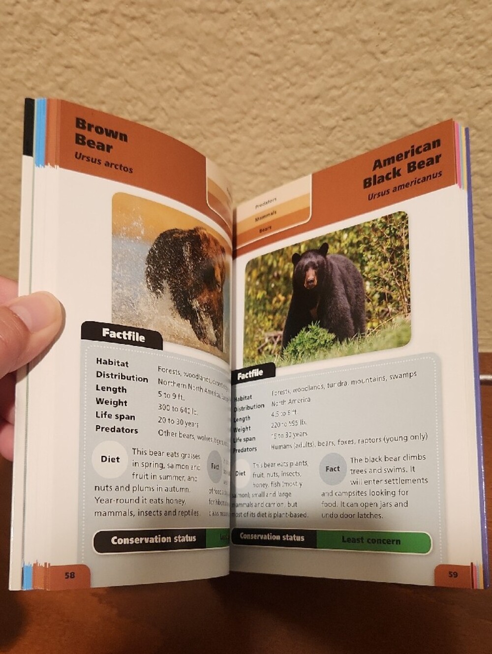 Predators Pocket Guide Book - Picture 3 of 3